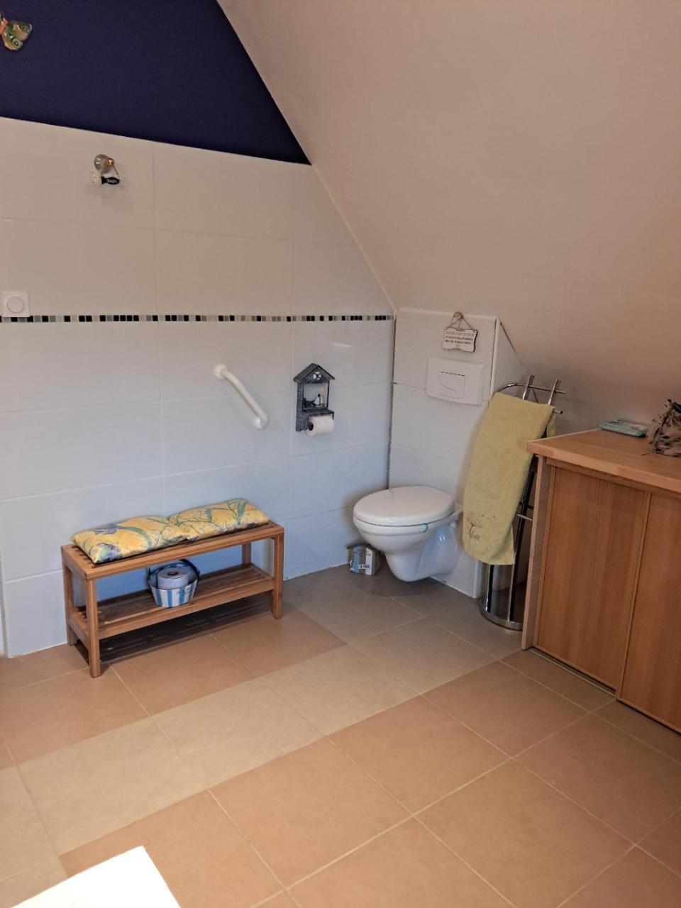 Aux Volets Bleus Bed & Breakfast Sibiril Luaran gambar